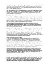 Referāts 'LAN tīkls', 3.