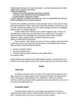 Referāts 'LAN tīkls', 5.