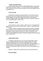 Referāts 'LAN tīkls', 6.