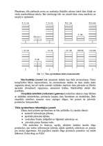 Referāts 'LAN tīkls', 12.