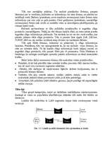 Referāts 'LAN tīkls', 13.