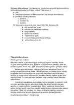 Referāts 'LAN tīkls', 16.