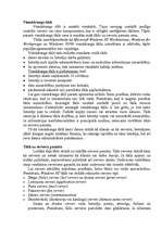 Referāts 'LAN tīkls', 18.