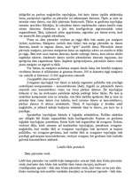 Referāts 'LAN tīkls', 22.