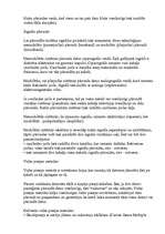 Referāts 'LAN tīkls', 23.