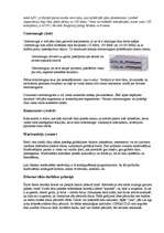 Referāts 'LAN tīkls', 25.