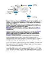 Referāts 'LAN tīkls', 30.