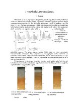 Referāts 'Biodegradanta ražošanas pieteikums', 5.