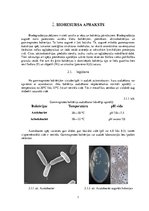 Referāts 'Biodegradanta ražošanas pieteikums', 7.