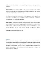 Referāts 'Sports un aktīvā atpūta uz ūdens', 11.