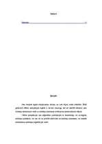 Referāts 'Ofšora zonas', 1.