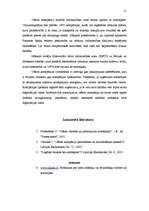 Referāts 'Ofšora zonas', 11.