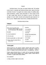 Konspekts 'Jubilejas svinību plāns', 2.