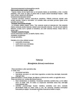 Konspekts 'Šūnu bioloģija', 8.