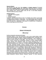 Konspekts 'Šūnu bioloģija', 29.