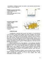 Referāts 'Guļbūves', 6.