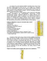 Referāts 'Guļbūves', 7.