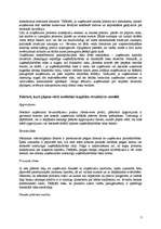 Referāts 'Kapitāla struktūras izvēle', 3.