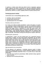 Referāts 'Kapitāla struktūras izvēle', 5.