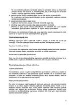 Referāts 'Kapitāla struktūras izvēle', 6.