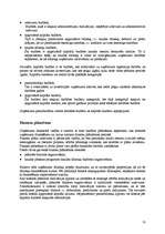 Referāts 'Kapitāla struktūras izvēle', 10.