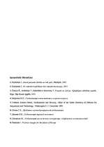 Referāts 'Globalizācijas trūkumi un priekšrocības', 13.