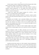 Diplomdarbs 'Patērētāju transporta apkalpošanas sistēmas pilnveidošana', 40.