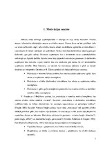 Referāts 'Motivācijas teorijas saturs', 3.