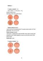 Referāts 'Nauda', 5.