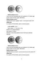 Referāts 'Nauda', 10.