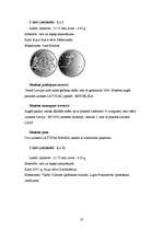 Referāts 'Nauda', 11.