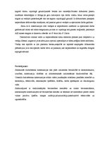 Konspekts 'Betona būvizstrādājumu rūpnīcas "Consolis Latvia" apmeklēšana', 6.