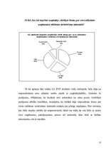 Referāts 'Interneta vidē izvietotā reklāma', 13.