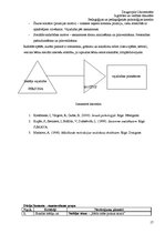 Prakses atskaite 'Atskaite par pedagoģisko un psiholoģisko novērojumu praksi', 17.