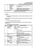 Prakses atskaite 'Atskaite par pedagoģisko un psiholoģisko novērojumu praksi', 19.