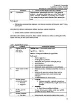 Prakses atskaite 'Atskaite par pedagoģisko un psiholoģisko novērojumu praksi', 22.