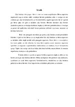 Referāts 'Zāļu lietotāju riska grupa - bērni. Farmaceita asistenta loma riska mazināšanā', 3.