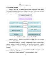 Biznesa plāns 'Бизнес план открытия частной медицинской практики "Healthy life"', 21.
