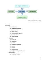 Konspekts 'Stratēģiskā plānošana', 11.