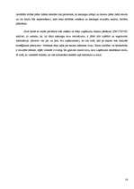 Konspekts 'Stratēģiskā plānošana', 16.