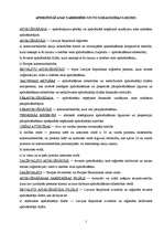 Konspekts 'Apdrošināšanas termiņi', 1.