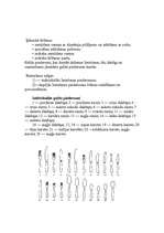 Referāts 'Galda piederumi', 2.