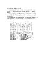 Referāts 'Galda piederumi', 4.