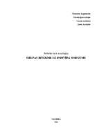 Referāts 'Grupas ietekme uz indivīda sniegumu', 1.