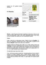 Referāts 'Bulgārija', 10.