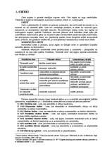 Referāts 'Cietes ražošana, realizācija, produktu pārstrāde', 3.