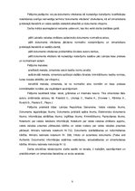 Diplomdarbs 'Valsts valodas prasmes apliecību izmantošanas problemātika privātpersonām un uzr', 5.