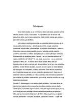 Referāts 'Hiperaktīvie bērni, to aprūpe un ārstēšana', 29.