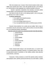 Konspekts 'Komandas darbs sociālās aprūpes centra institūcijā', 3.