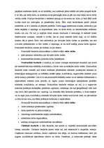 Referāts 'Bezdarbs', 5.